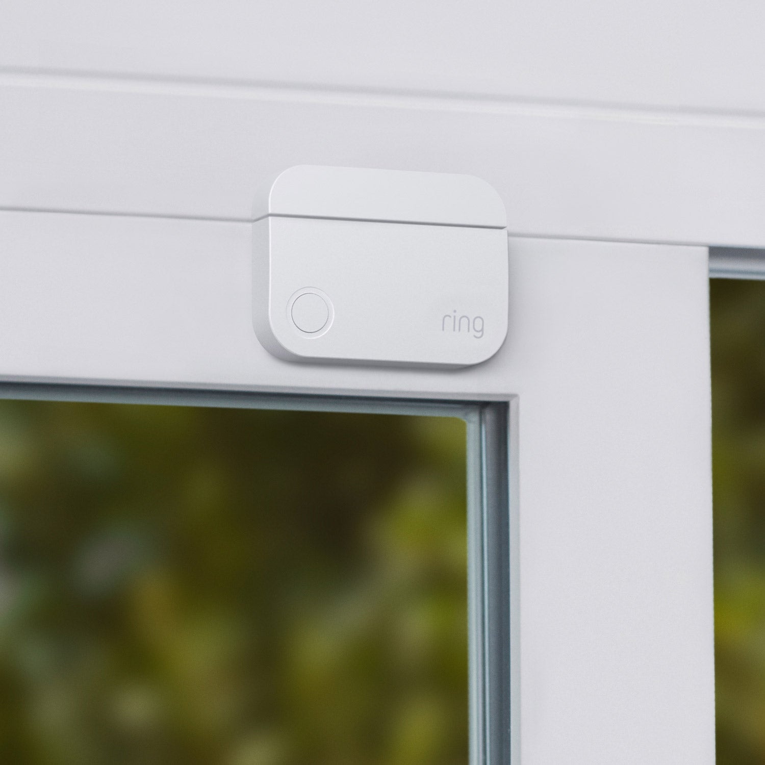 Alarm Pro Security Kit, 8-Piece (with built-in eero Wi-Fi 6 router) - Ring Door/Window Contact Sensor mounted on a window frame, part of the Alarm Pro 8-Piece Kit.