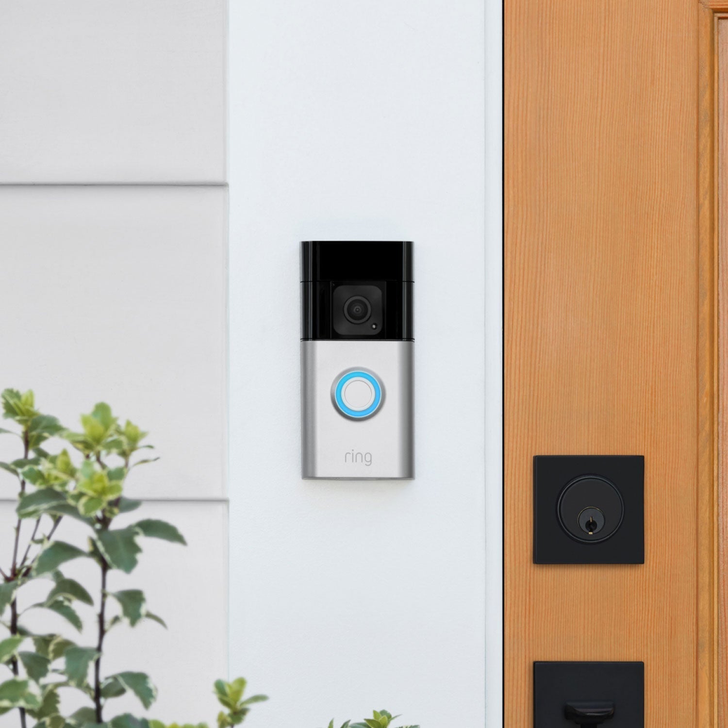Whole Home Enhanced Kit (Battery Doorbell Plus + Spotlight Cam Plus Battery + Alarm Security Kit, 8-Piece) - Ring Battery Doorbell Plus with blue-lit button mounted beside a wooden front door with lock, shown with plants nearby.