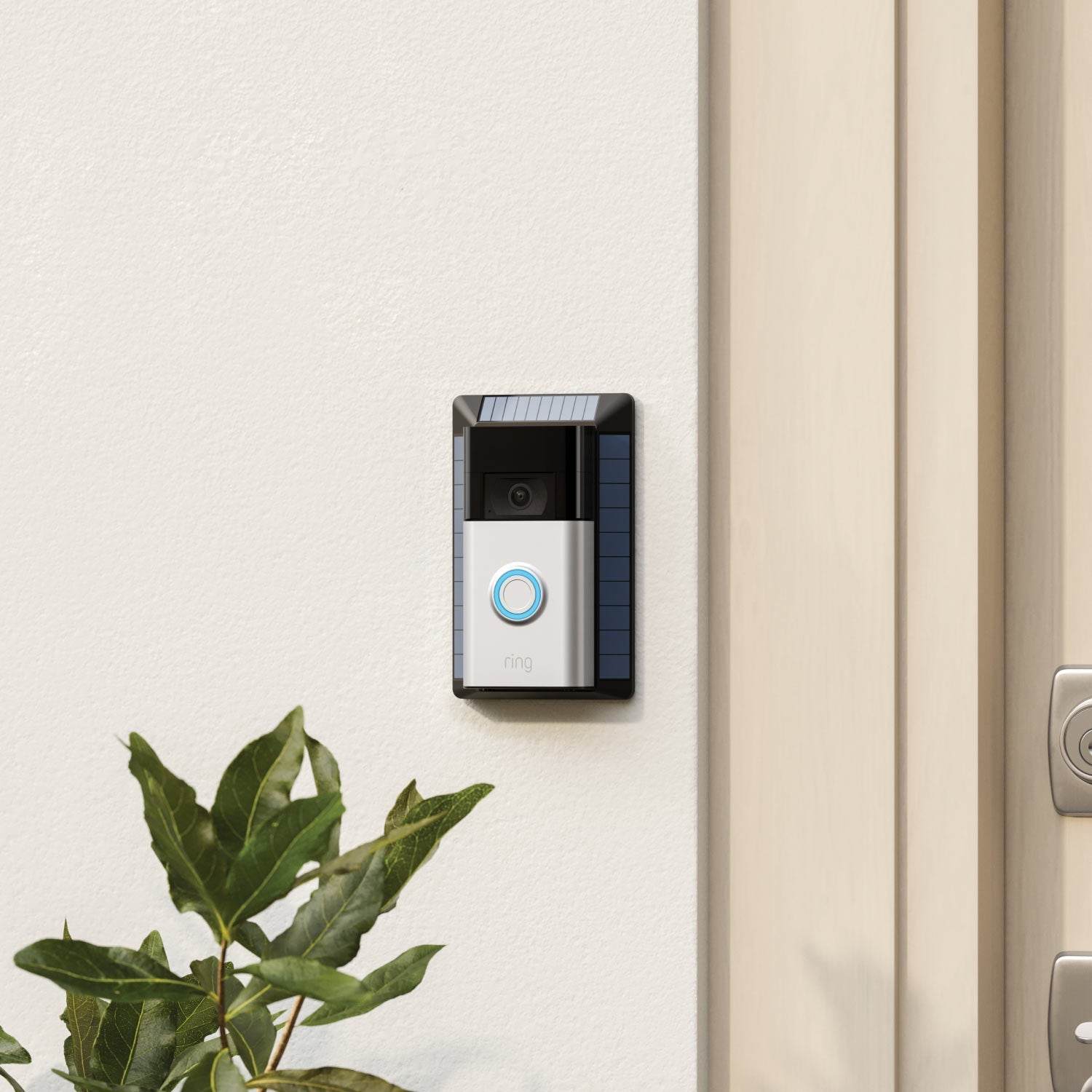 Battery Doorbell Plus + Solar Charger for Battery Doorbells (2nd Generation) - Ring Battery Doorbell Plus with Solar Charger mounted on a wall by a front door, with plants nearby.