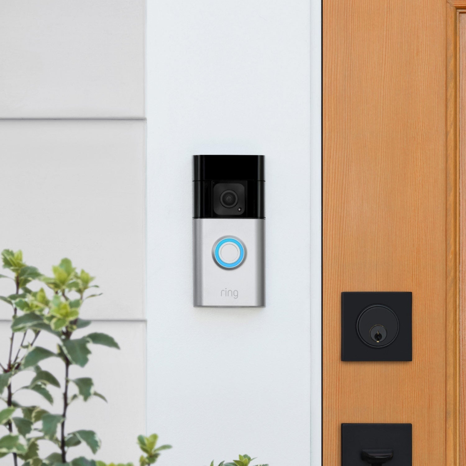 Battery Doorbell Plus - Ring Battery Doorbell Plus mounted next to a wooden door with black door lock hardware, with partially visible plant.