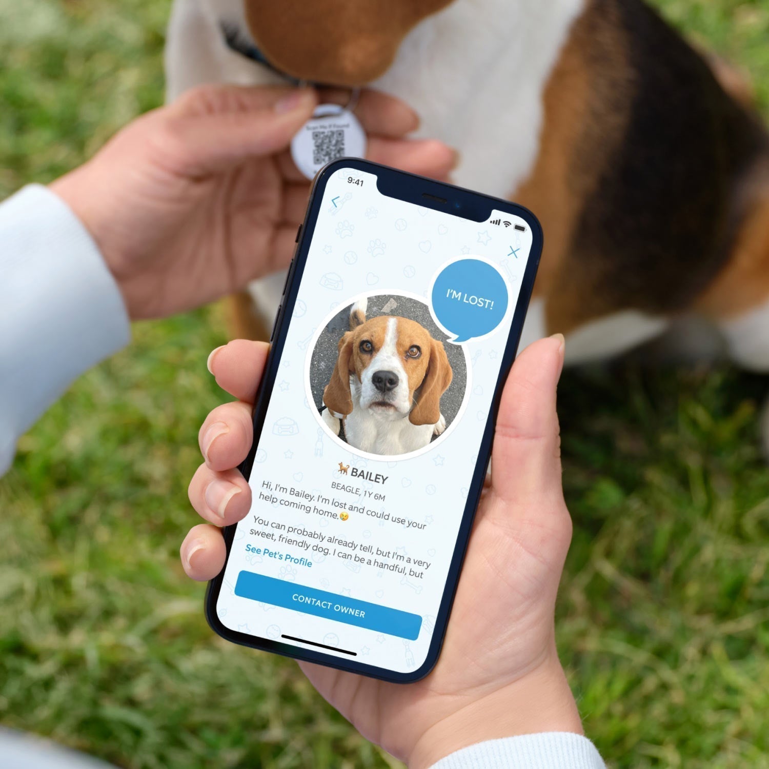 2-Pack Pet Tag - Person holding smartphone showing lost dog alert from Ring Pet Tag scan, with dog wearing a QR code tag sitting nearby.