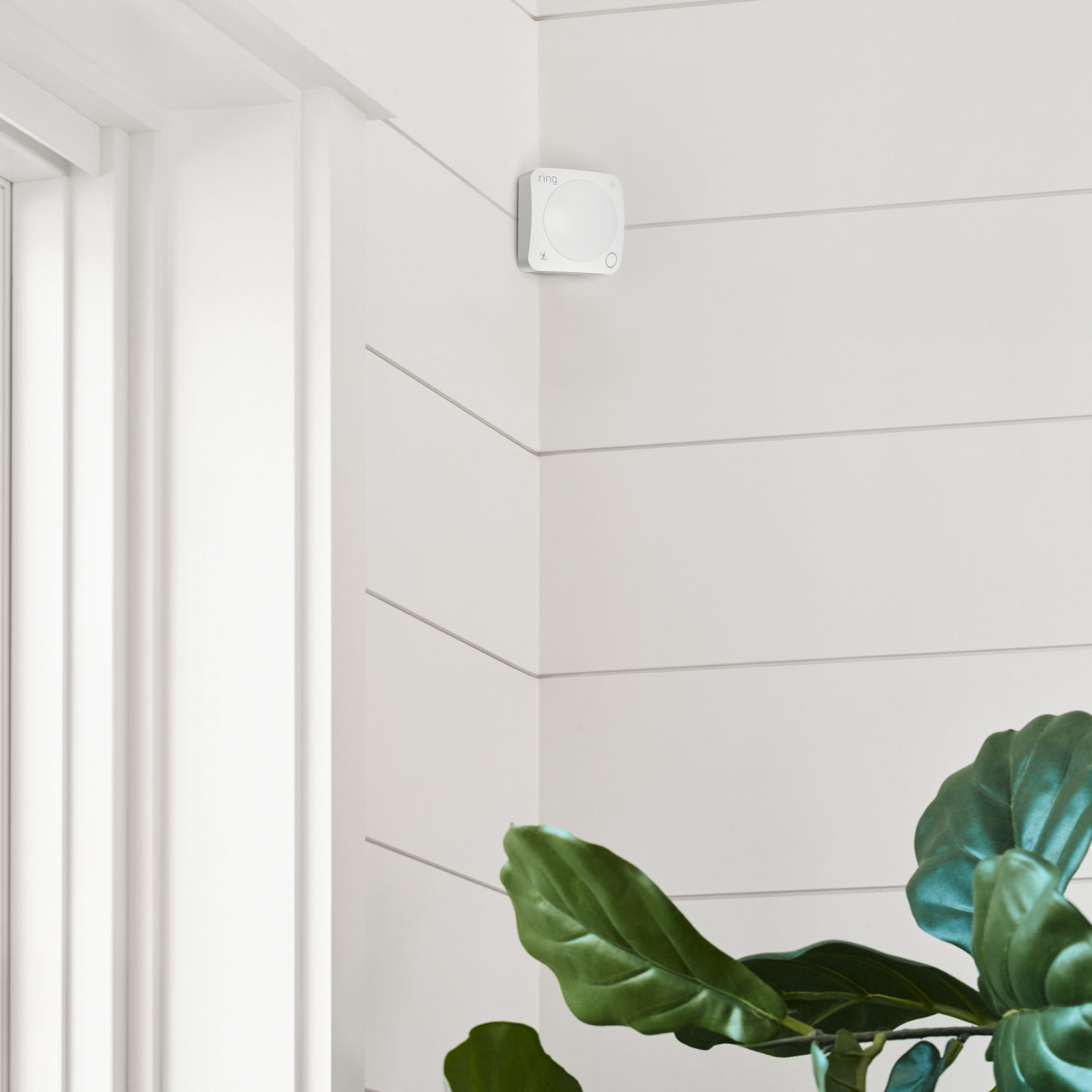 Motion Detector (Newest Model) - Motion Detector on a corner of an indoor room.