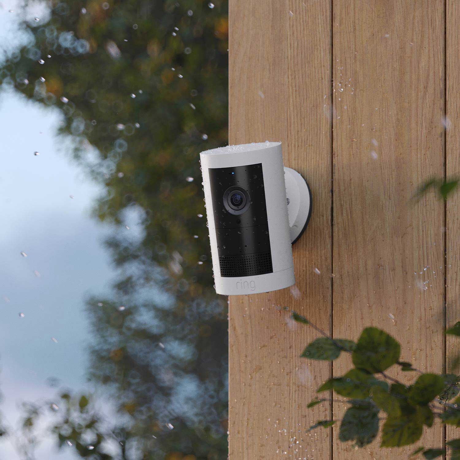 Outdoor Cam Plus Battery + Pan-Tilt Indoor Cam - A white Outdoor Cam Plus Battery mounted onto a wooden wall.