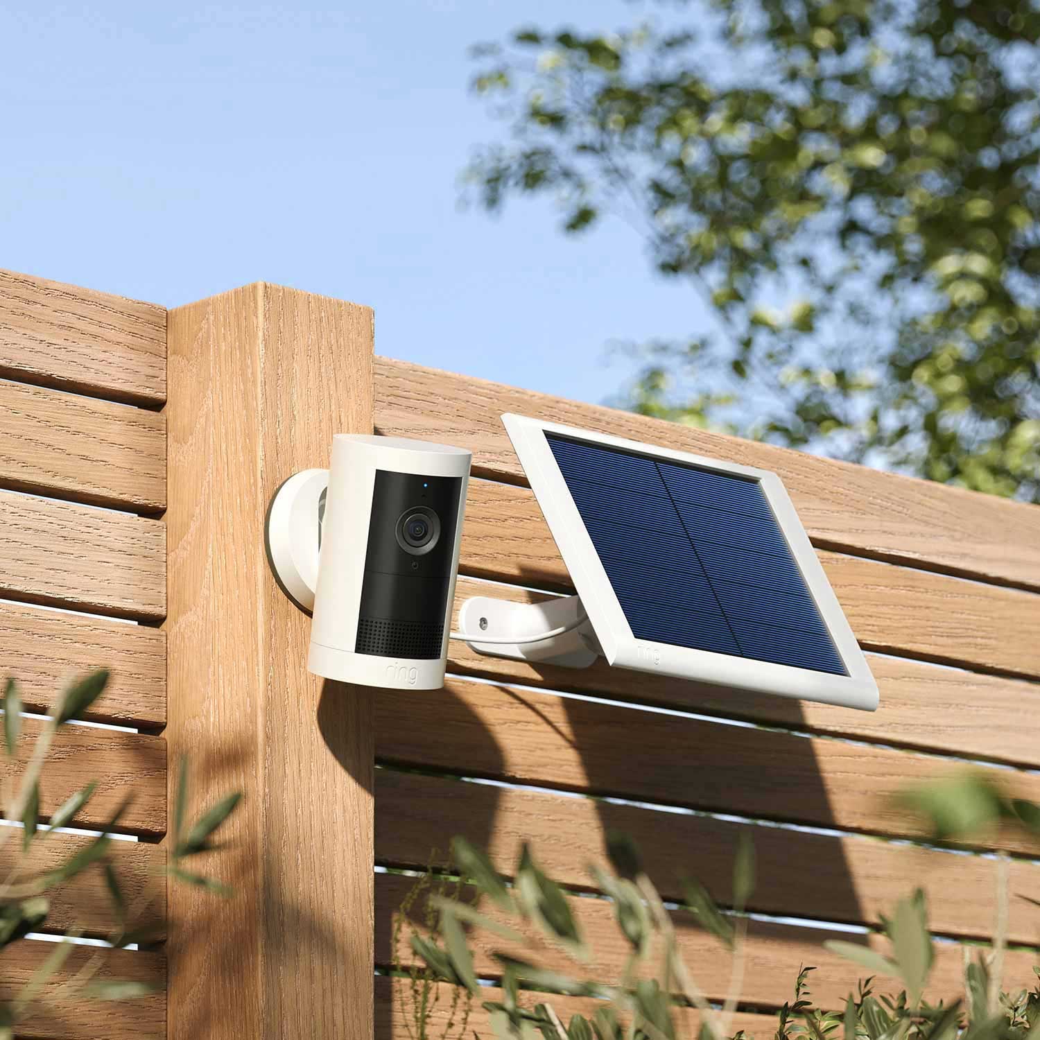 Outdoor Cam Plus (Featuring Retinal 2K)  - Solar:White Outdoor Cam Plus mounted onto a wooden fence next to a white Ring Solar Panel.