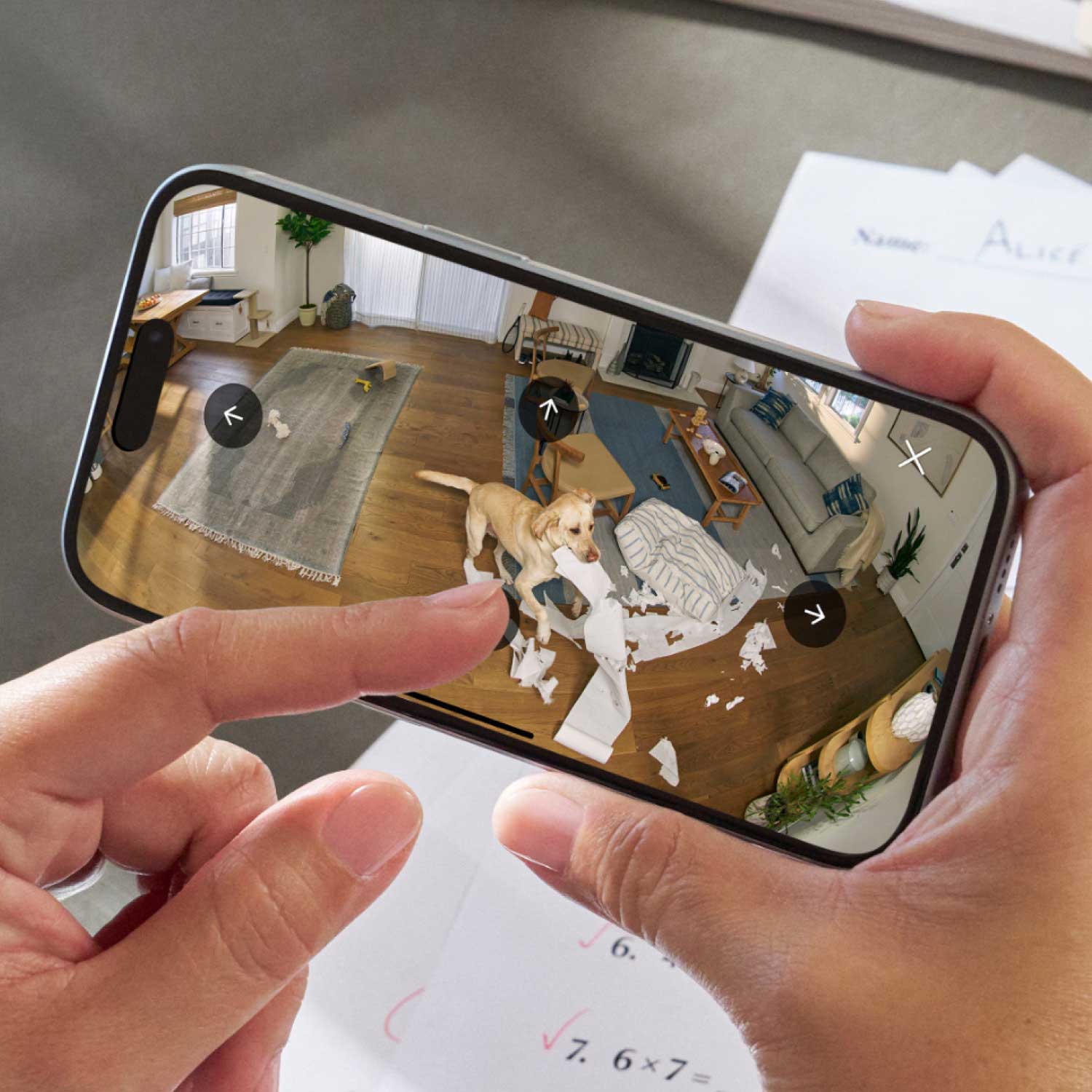 Outdoor Cam Plus Plug-In + Pan-Tilt Indoor Cam - A smart phone depicting a dog ripping up paper in a house.