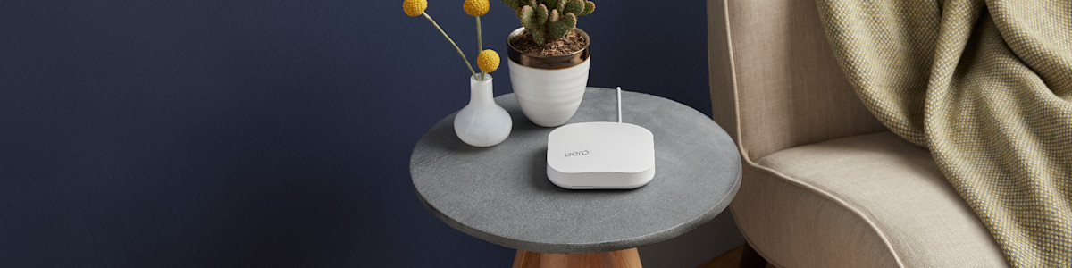 White router on grey side table with cactus and yellow flowers