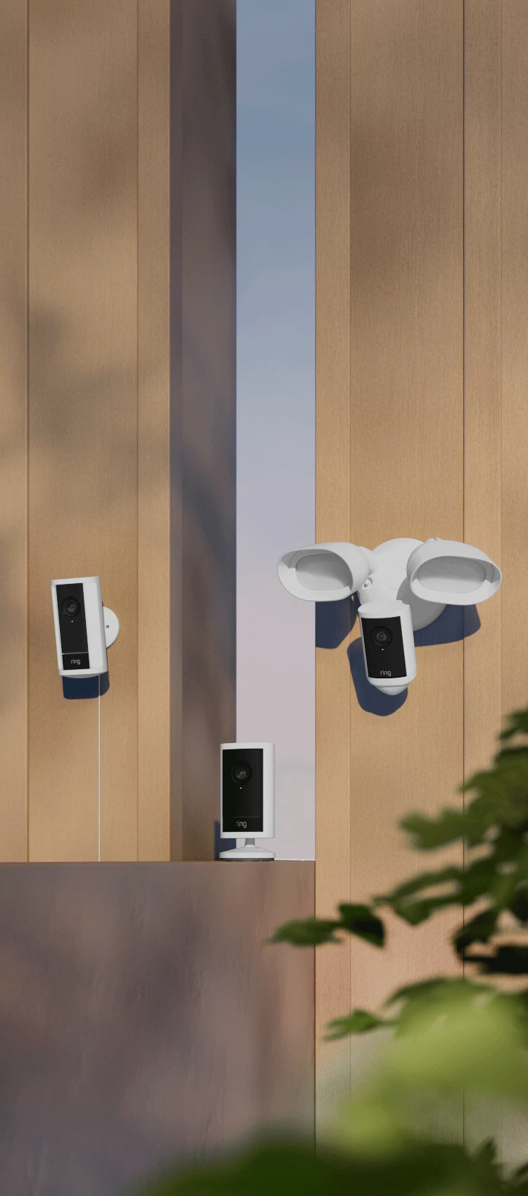 A display of Ring security cameras against a light-colored wall. 