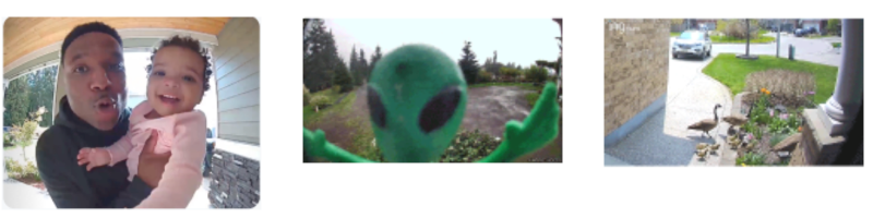 Collage of images captured by Ring devices shared to the Neighbors app. 